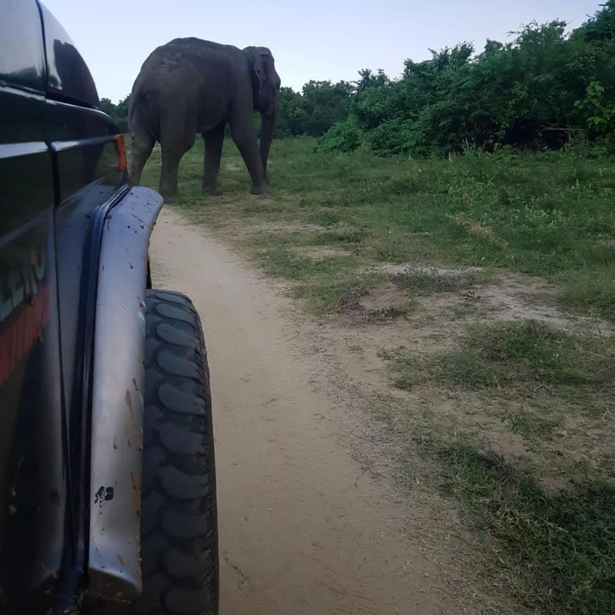 Masiya Safari Service Udawalawe 호텔 외부 사진